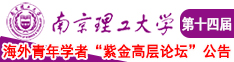 欧美老妇后入式神南京理工大学第十四届海外青年学者紫金论坛诚邀海内外英才！